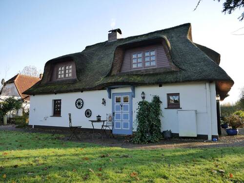 Rückwärtige Seite - Einfamilienhaus mit 110,00 m&sup2; in Neuenkirchen zum Kaufen