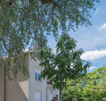 SfKW - Arbeiten auf zwei Etagen mit Nebenflächen - Büro oder Praxis - Teeküchen und zwei WC - Dresden Niedersedlitz