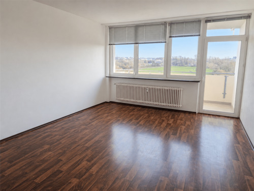 Wohnzimmer - Etagenwohnung in Erlangen zum Kaufen