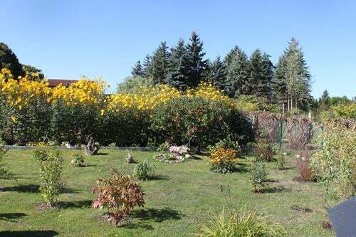 Nachbargrundstück - 