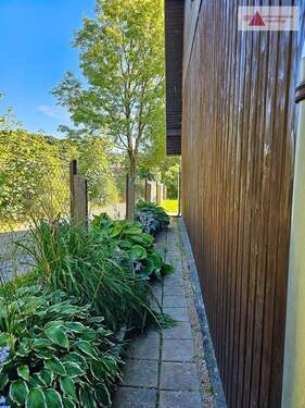 Rückseite Straße - 