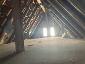 IMG_7541.jpeg - 