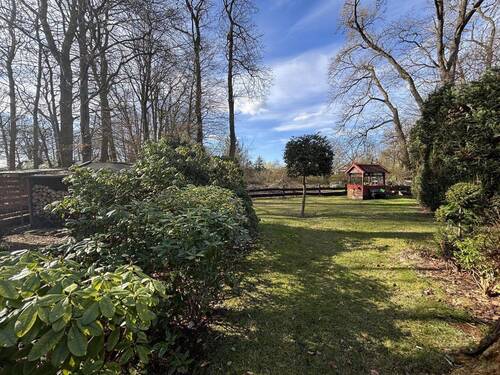 Blick in den Garten - 