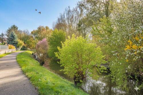Alb-Spazierweg im Frühling (KI) - 