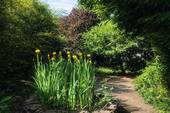 Garten Ansicht I - 