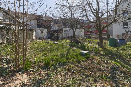 Garten_4 - 