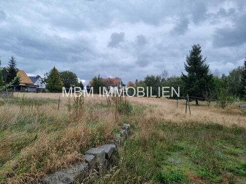 Grundstück - 9 Zimmer Einfamilienhaus in Reinhardtsdorf