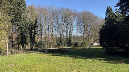Impressionen des Parkgrundstücks_8.jpg - 