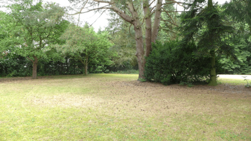 Impressionen des Parkgrundstücks_1.png - 