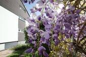 IMPRESSIONEN - 