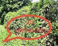 Foto - Interessantes Grundstück mit großem Entwicklungspotential