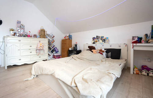 HSP_1769 - 
