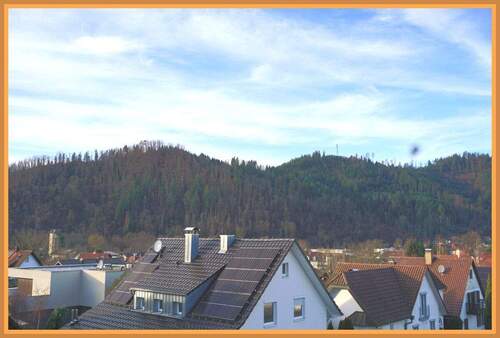 Ausblick vom Balkon - 