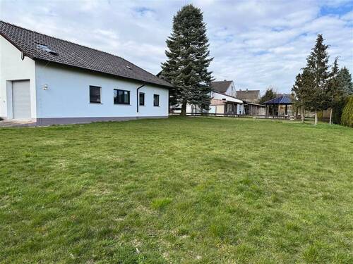 Grundstück - 4 Zimmer Einfamilienhaus zum Kaufen in Borgentreich