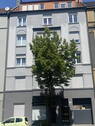 Front - 2 Zimmer Etagenwohnung in Dortmund