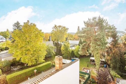 Blick in den Hinterhof - 