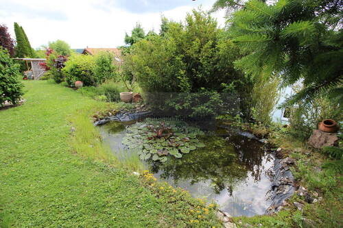 Garten / Teich - 