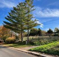 Romantisches Flair und zeitlose Eleganz. Ihr Town & Country Haus in Waltersleben! - Erfurt