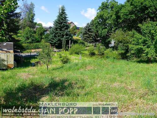 Blick von oberen Grundstücksteil in Richtung Straße - 