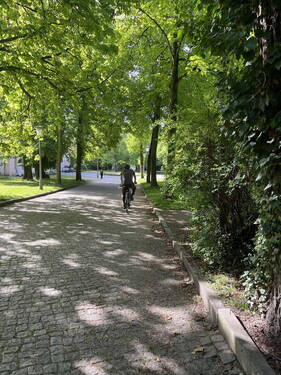 Schloßpark - 