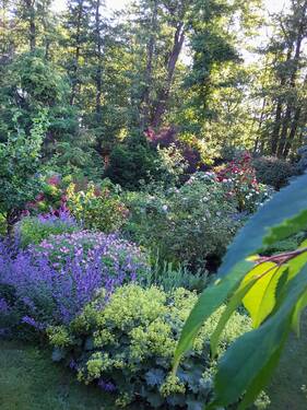 Garten - 