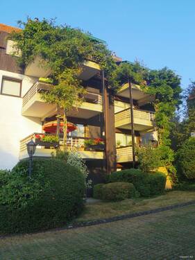 Rückseite-Hausansicht - 2 Zimmer Etagenwohnung zum Kaufen in Hagen