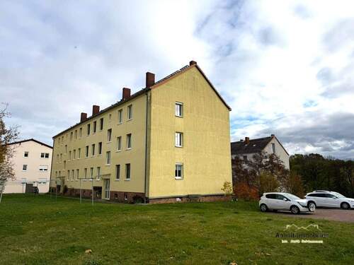 Hausansicht hinten - 3 Zimmer Mehrfamilienhaus, Wohnhaus in Döbeln OT Mochau