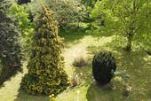 Garten - 