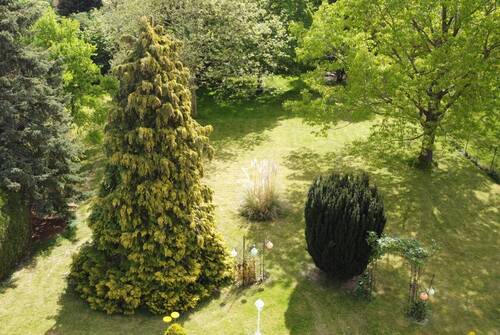 Garten - 