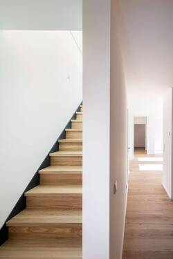Dachterrassenzugang - 
