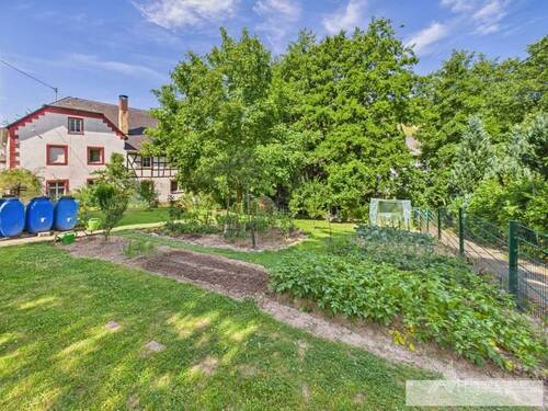 CAM04062G0-PR0033-STILL008 - 