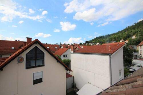 Blick aus Dachfenster - 