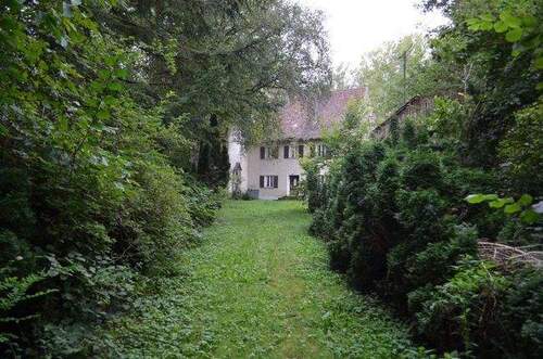 Zufahrt - Grundstück in Weil