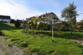 Garten (Baugrundstück) - 4 Zimmer Mehrfamilienhaus, Wohnhaus in Reinsfeld