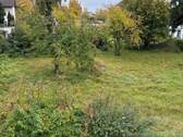 Foto 13 - Blick aus einem Zimmer in sattes Grün - 