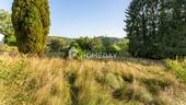 Garten 1 - 6 Zimmer Einfamilienhaus zum Kaufen in Battweiler