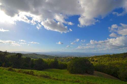 Bild 4 - Bauernhaus, Landhaus mit 250,00 m&sup2; in Cinigiano zum Kaufen