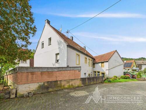 Seitenansicht links - 7 Zimmer Mehrfamilienhaus, Wohnhaus zum Kaufen in Rutsweiler am Glan