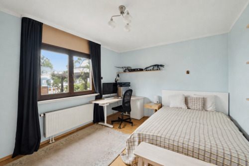 ZIMMER 3 - 