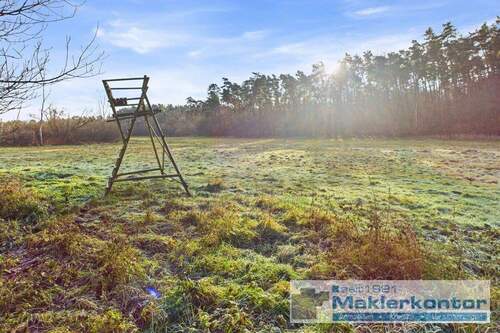 Aussicht in die Natur - 