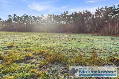 Aussicht in die Natur - 