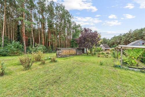 Wiese im hinteren Teil - 