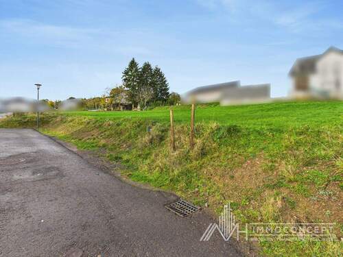 CAM04062G0-PR0052-STILL001 - Einfamilienhaus mit 147,00 m&sup2; in Hasborn zum Kaufen