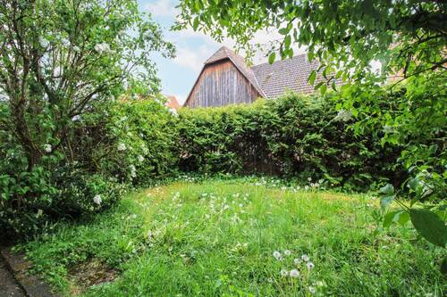 Garten Bild 1 - 
