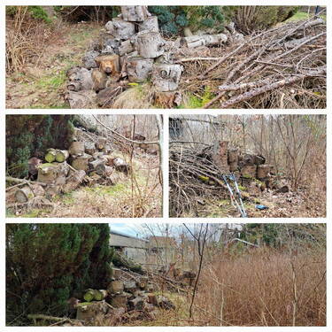 Holzvorrat - 