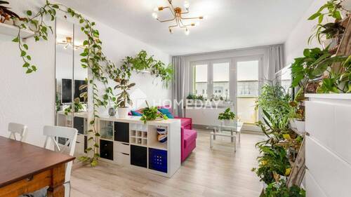 Wohnzimmer 1 - Gut geschnittene 3-Zimmer-Wohnung nahe Uni in Greifswald