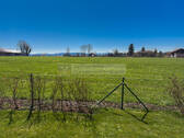 Blick - 