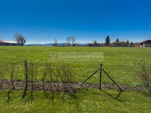 Blick - 