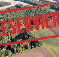 Laubholzflächen in Lindau - 7.000,00&nbsp;EUR Kaufpreis, ca.&nbsp; 0,00&nbsp;m&sup2; in Heideland OT Lindau (PLZ: 07613) Rudelsdorf