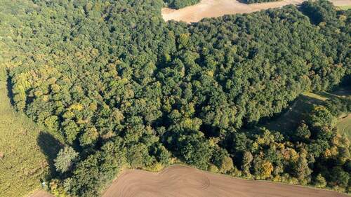 Ansicht - Grundstück in Heideland OT Lindau
